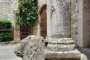 IMG-20220709-WA0073