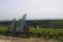 IMG-20220709-WA0086
