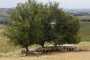 IMG-20220709-WA0087