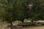 IMG-20220709-WA0088