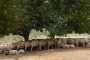 IMG-20220709-WA0089