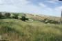 IMG-20220709-WA0090