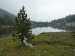 p1030839_799x599
