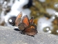 dscn6281