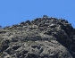 dscn6377