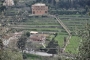 DSCN9486