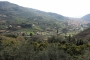 DSCN9513