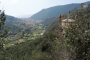 DSCN9524