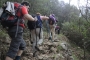 DSCN9539