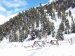 campomulo-2010-002_799x599