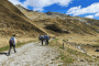 IMG_20220911_135415-Copy
