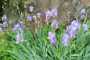 IMG-20240611-WA0068