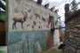 IMG-20240611-WA0076
