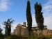 dscn0197_799x599