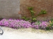 p1010885_799x599