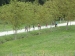 p1080122_799x599
