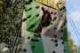 IMG-20230919-WA0113