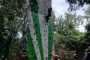 IMG-20230919-WA0139
