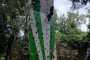 IMG-20230919-WA0140