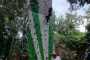 IMG-20230919-WA0141