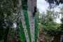 IMG-20230919-WA0142