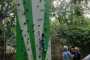 IMG-20230919-WA0161