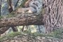 SportNatura_2024-4