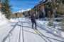 IMG-20240114-WA0019