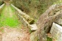 DSCN4902