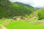 DSCN5134-Copia