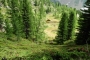 DSCN6137