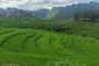 IMG-20240827-WA0044
