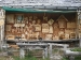 dscn4583_70pc
