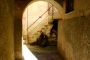 DSCN4651