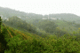 DSCN9330-Copy