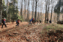 IMG_20221023_111730-Copy