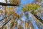 IMG_20221023_115808-Copy