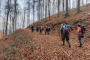 IMG_20221023_120830-Copy