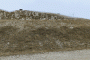 IMG_20221023_134558-Copy
